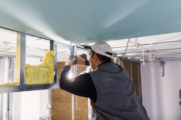 Best Cellulose Insulation  in Montauk, NY